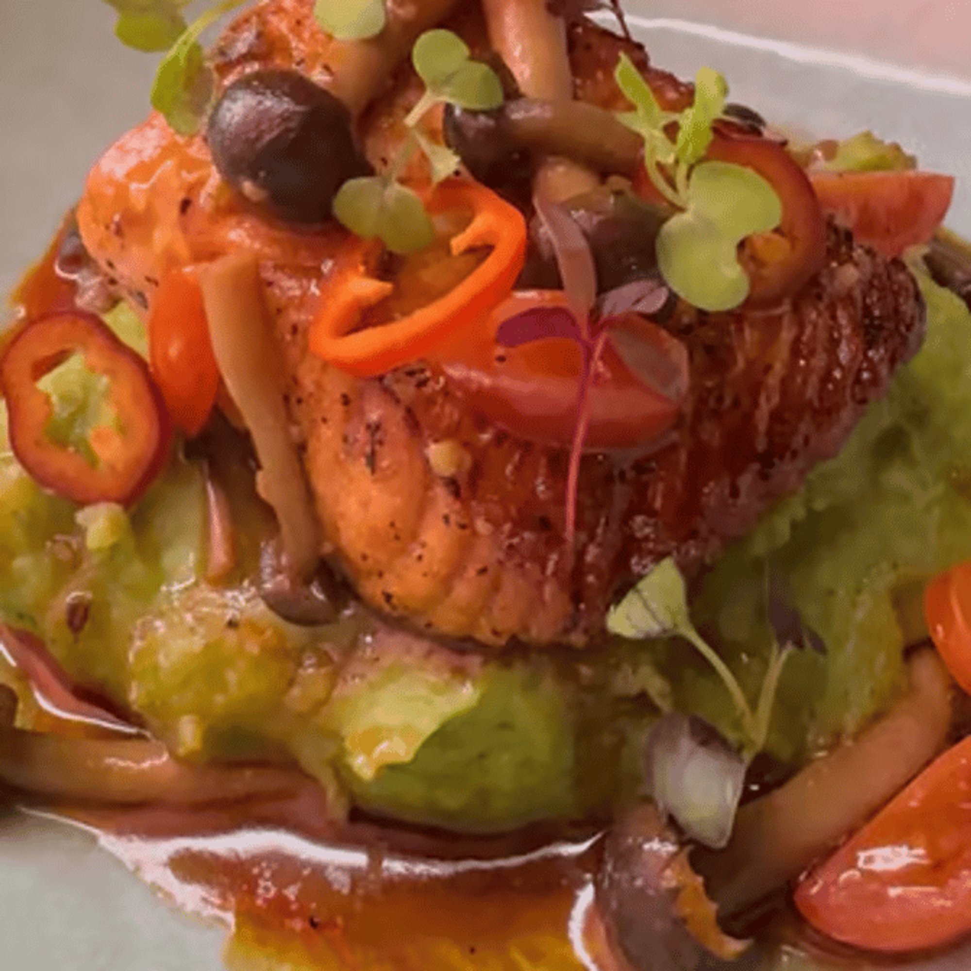 Salmon