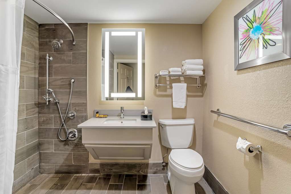 Best Western Plus Greenville I-385 Inn & Suites Image