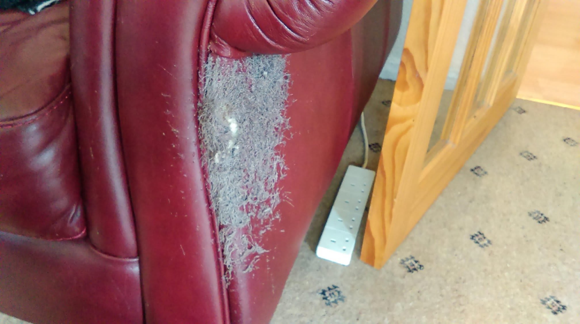 Images Furniture Care