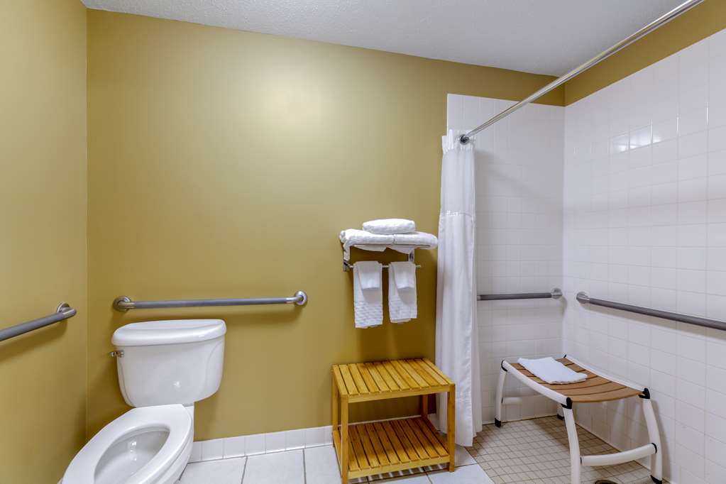 Best Western Falcon Plaza - Bowling Green Image