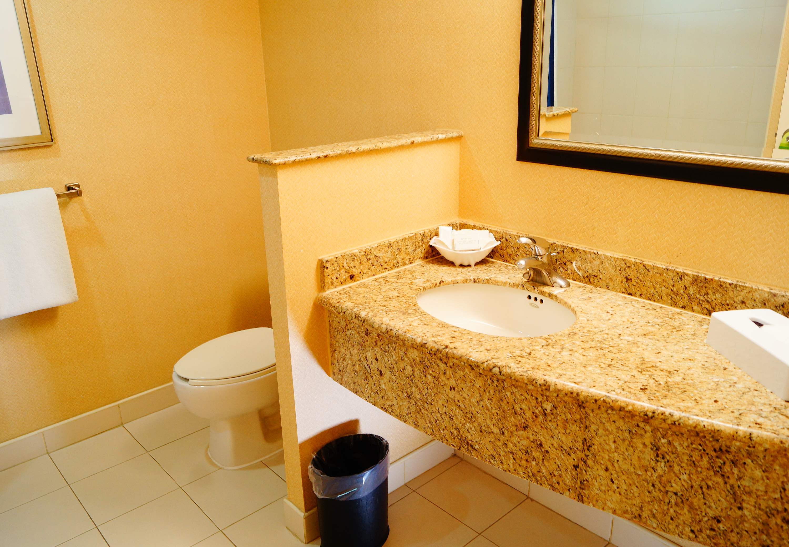 Images Courtyard by Marriott Monterrey San Jeronimo/Valle