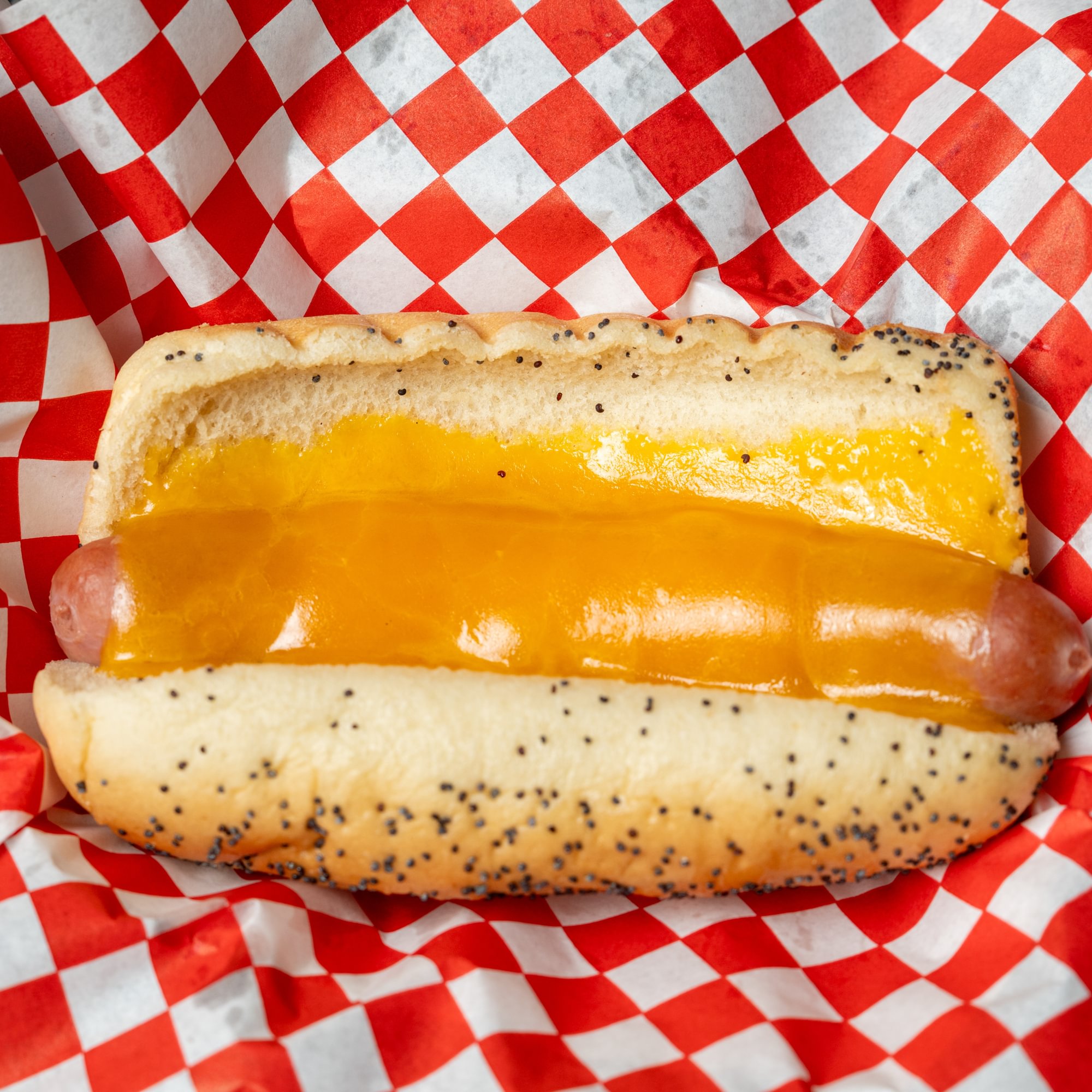 Cheese Dog