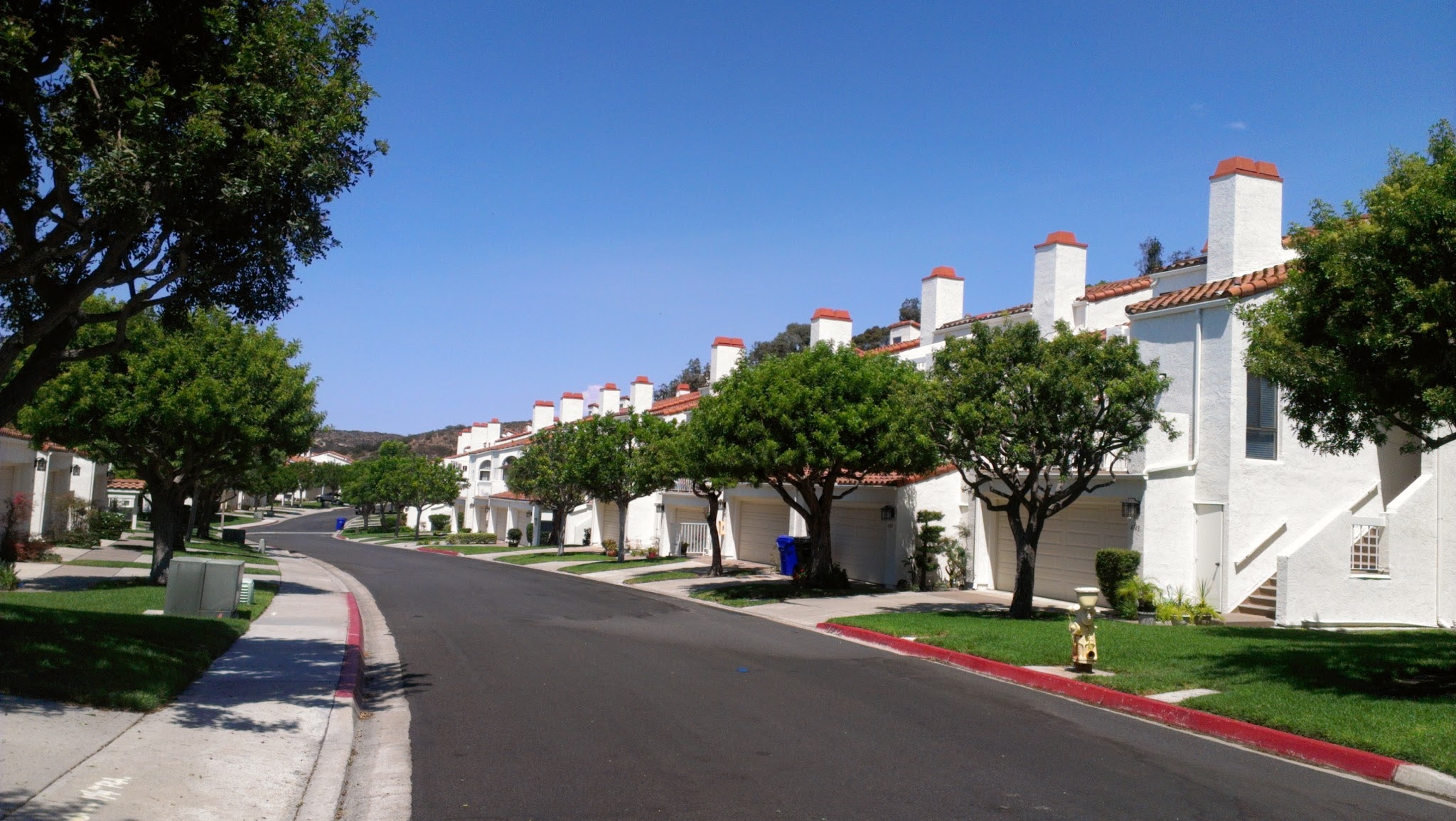 Brad Stoner Painting Image