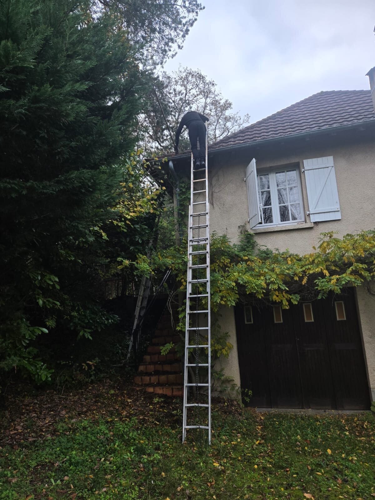 Miniature de la galerie