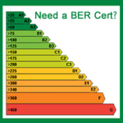 BER Assessment
