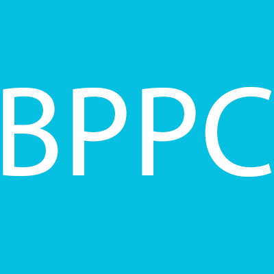 Bert's Painting & Pressure Cleaning Inc
