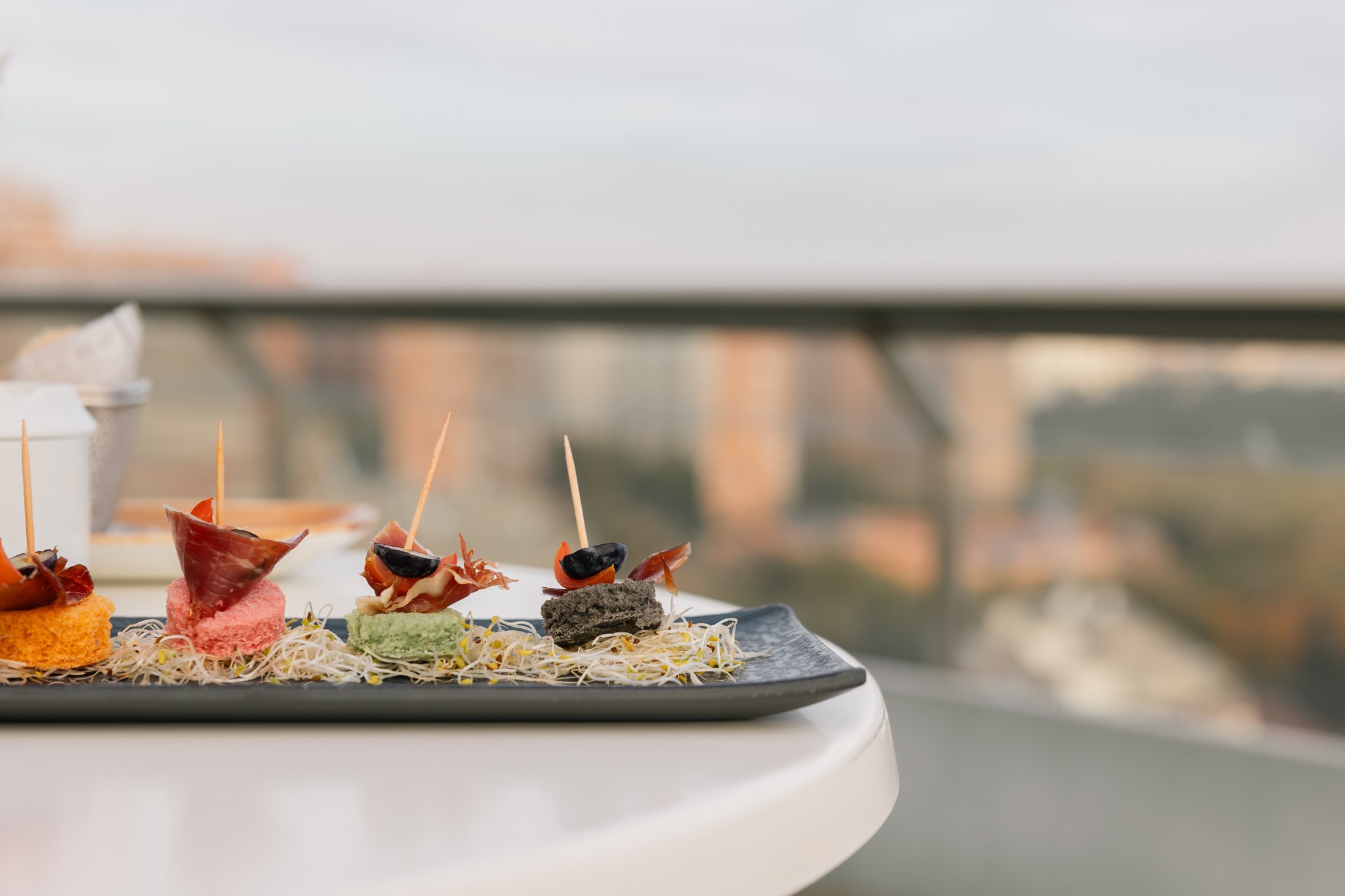 Galería en miniatura