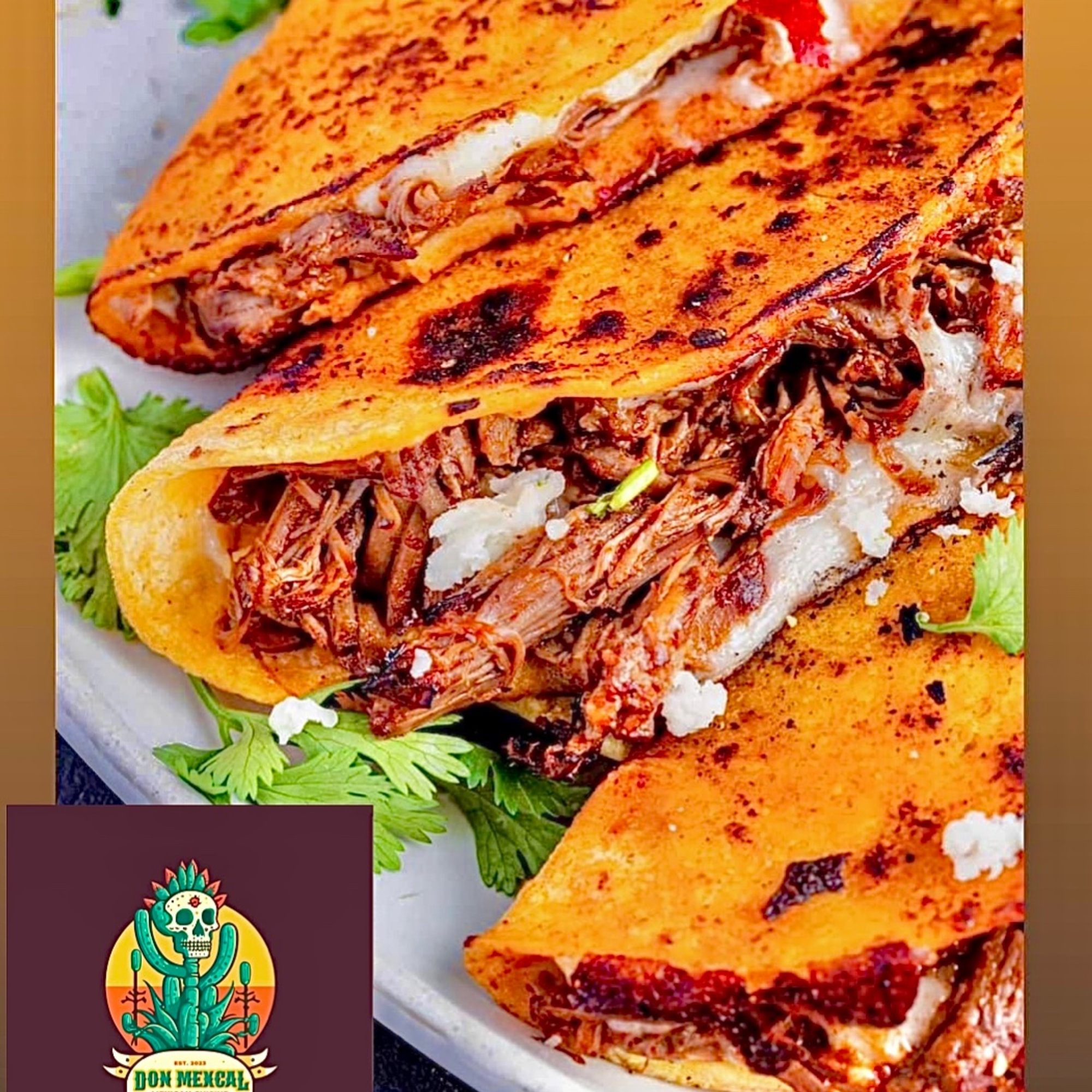 Quesa Birrias
