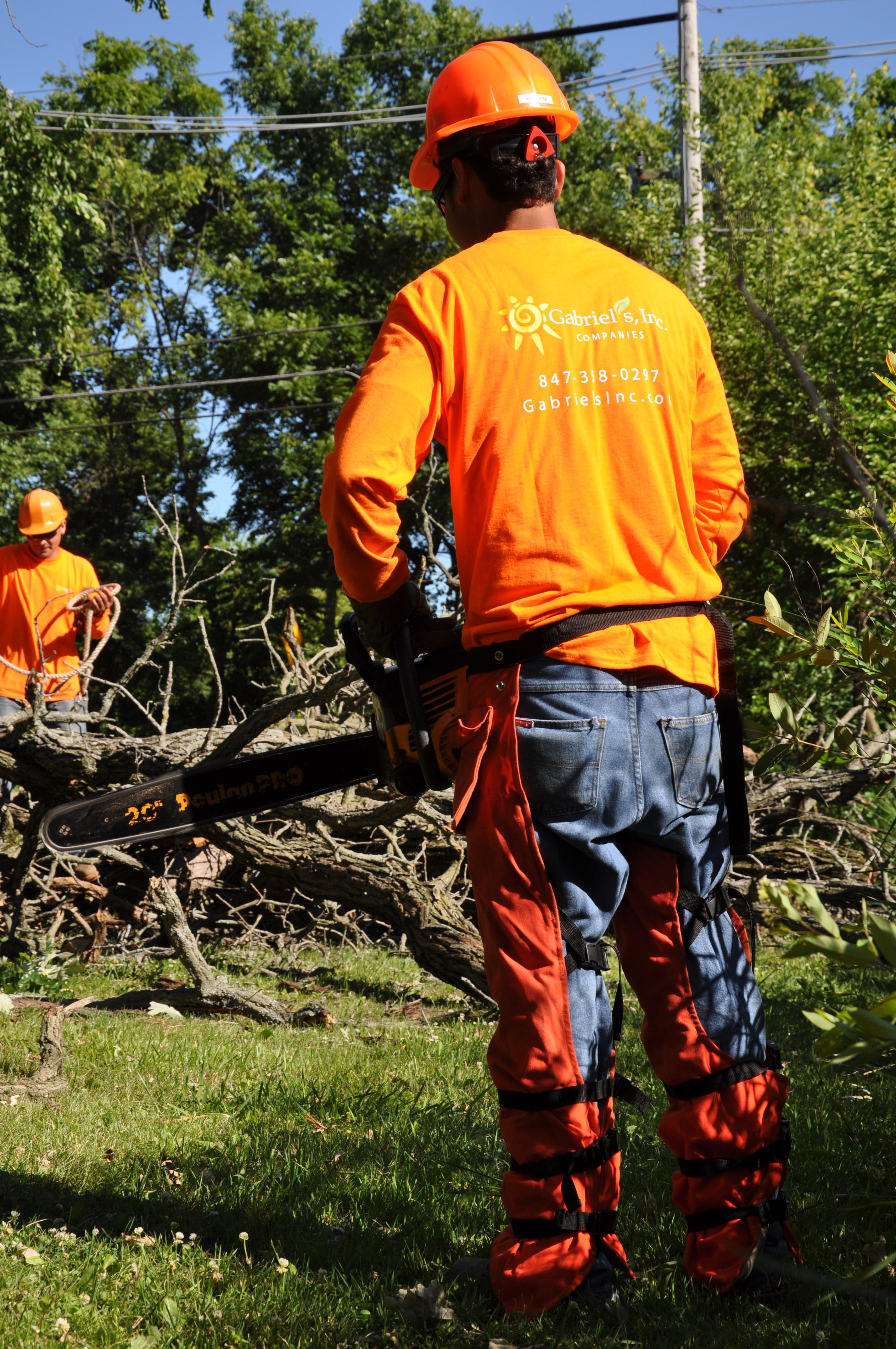 Gabriel's Tree Care Company Inc. Image