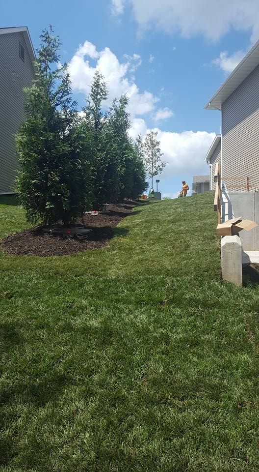 Landscaping Designers
