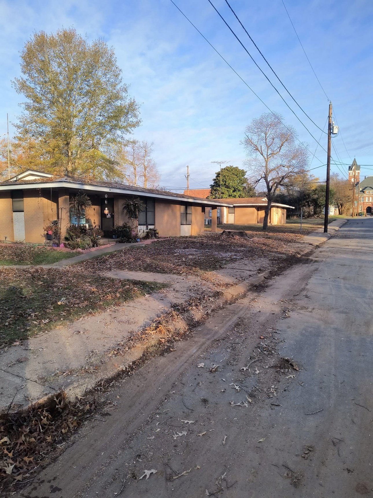 Plyler's Tree Service Image