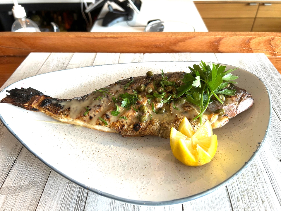 Mediterranean Fagri
