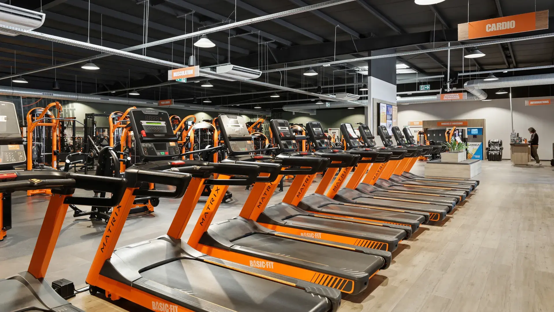 Miniature de la galerie