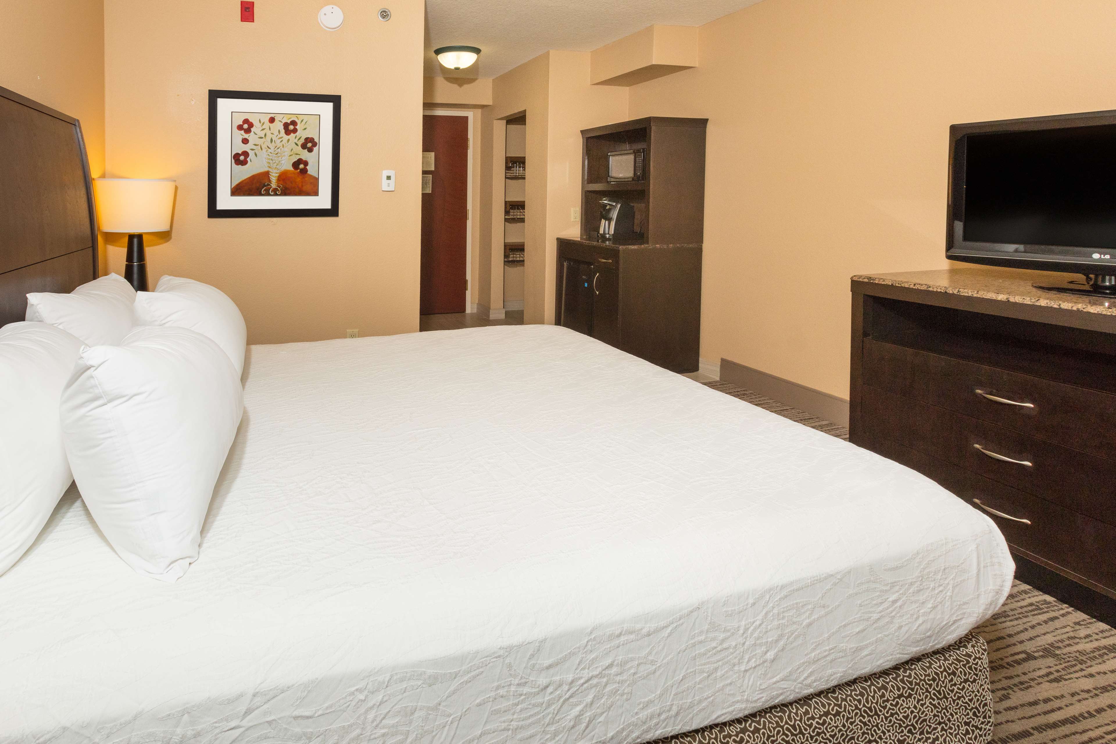 Hilton Garden Inn Jacksonville Airport Photo