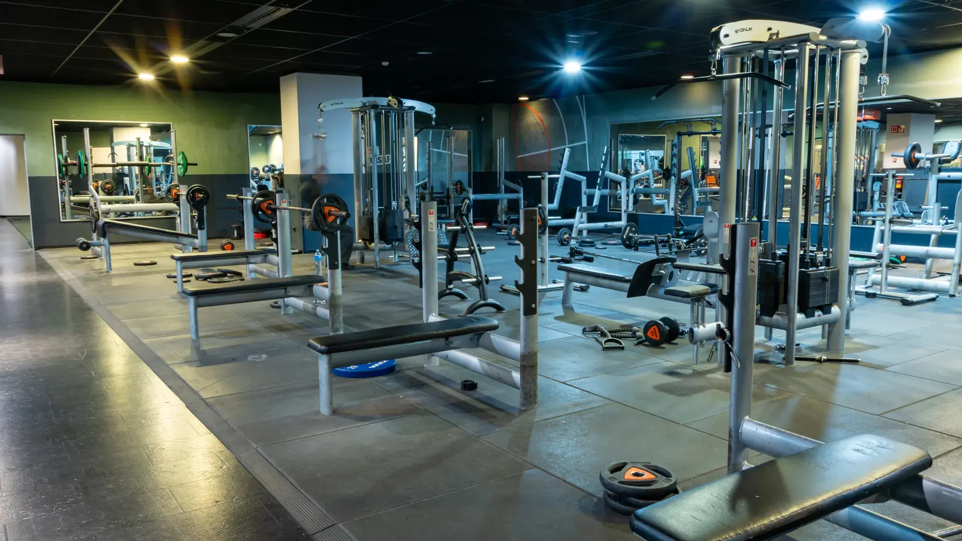 Galería en miniatura