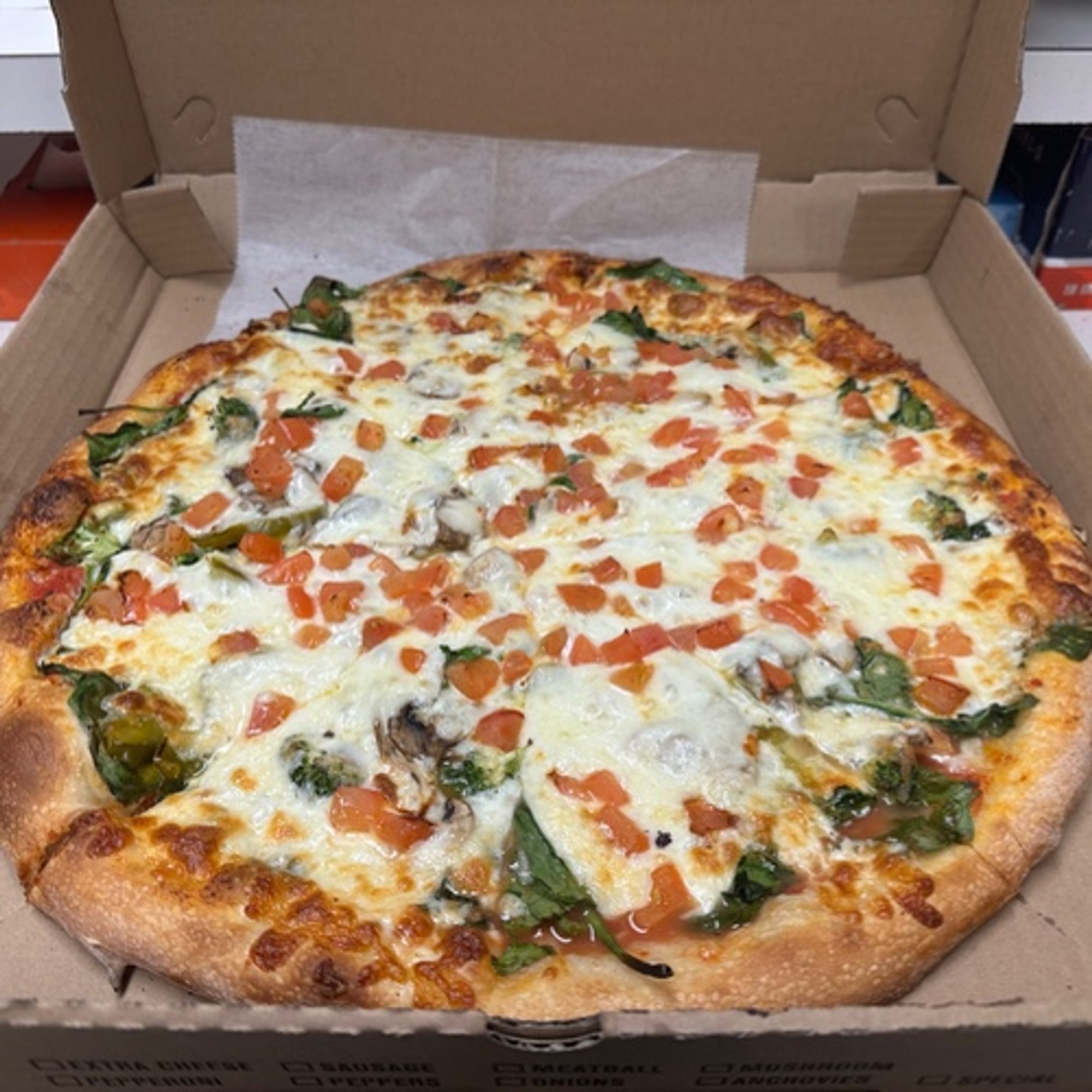 WHITE Veggie Pizza (Large 16")