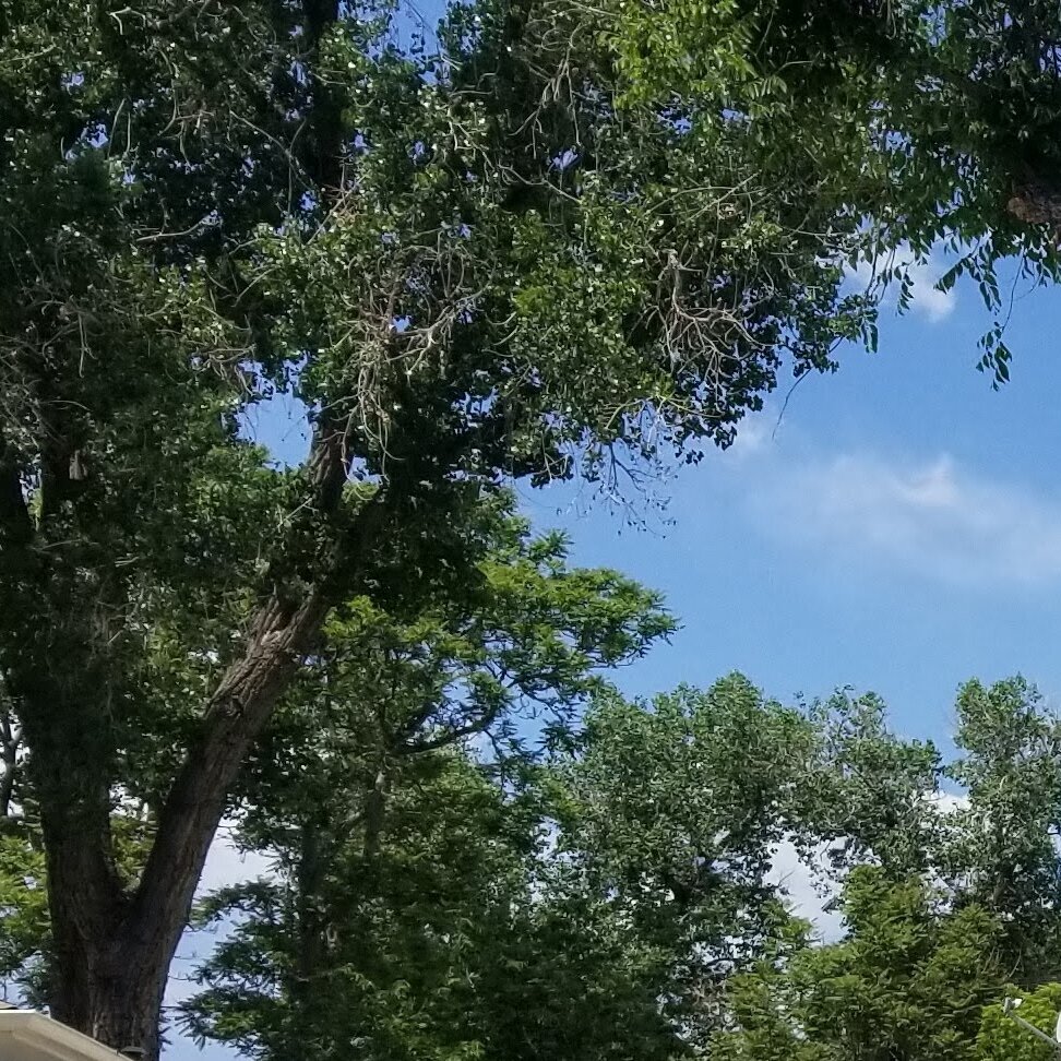 US Property Services INC Image