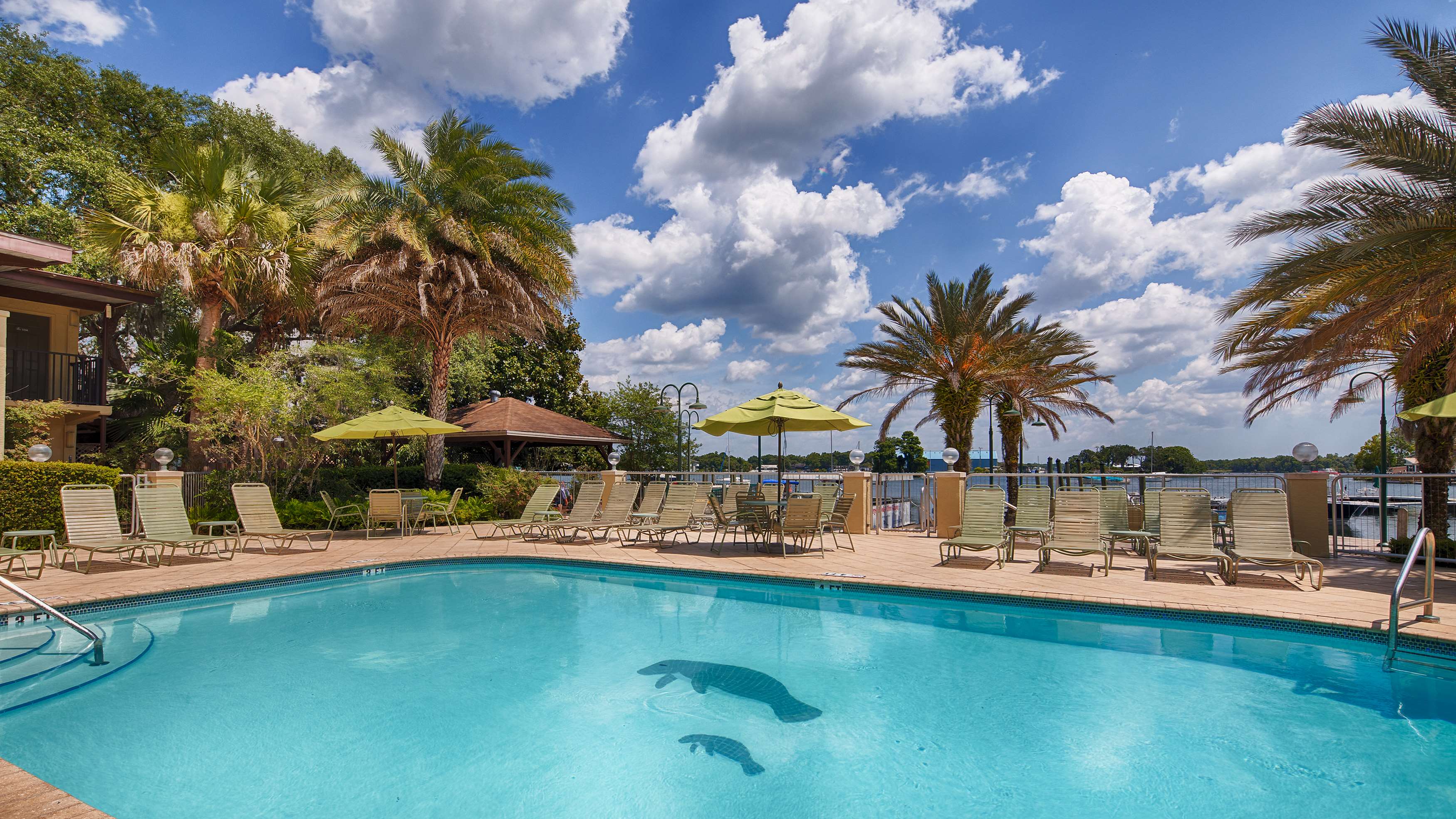 Best Western Crystal River Resort Photo