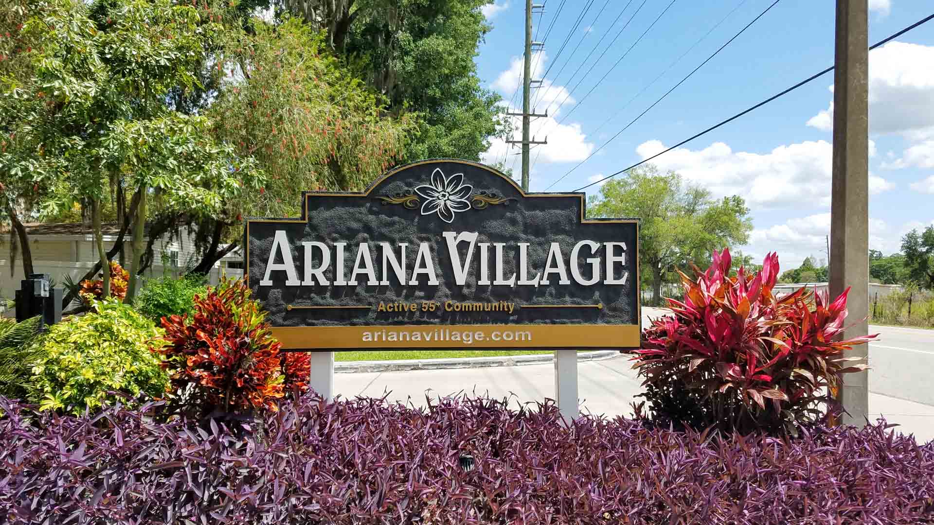 Ariana Village Photo