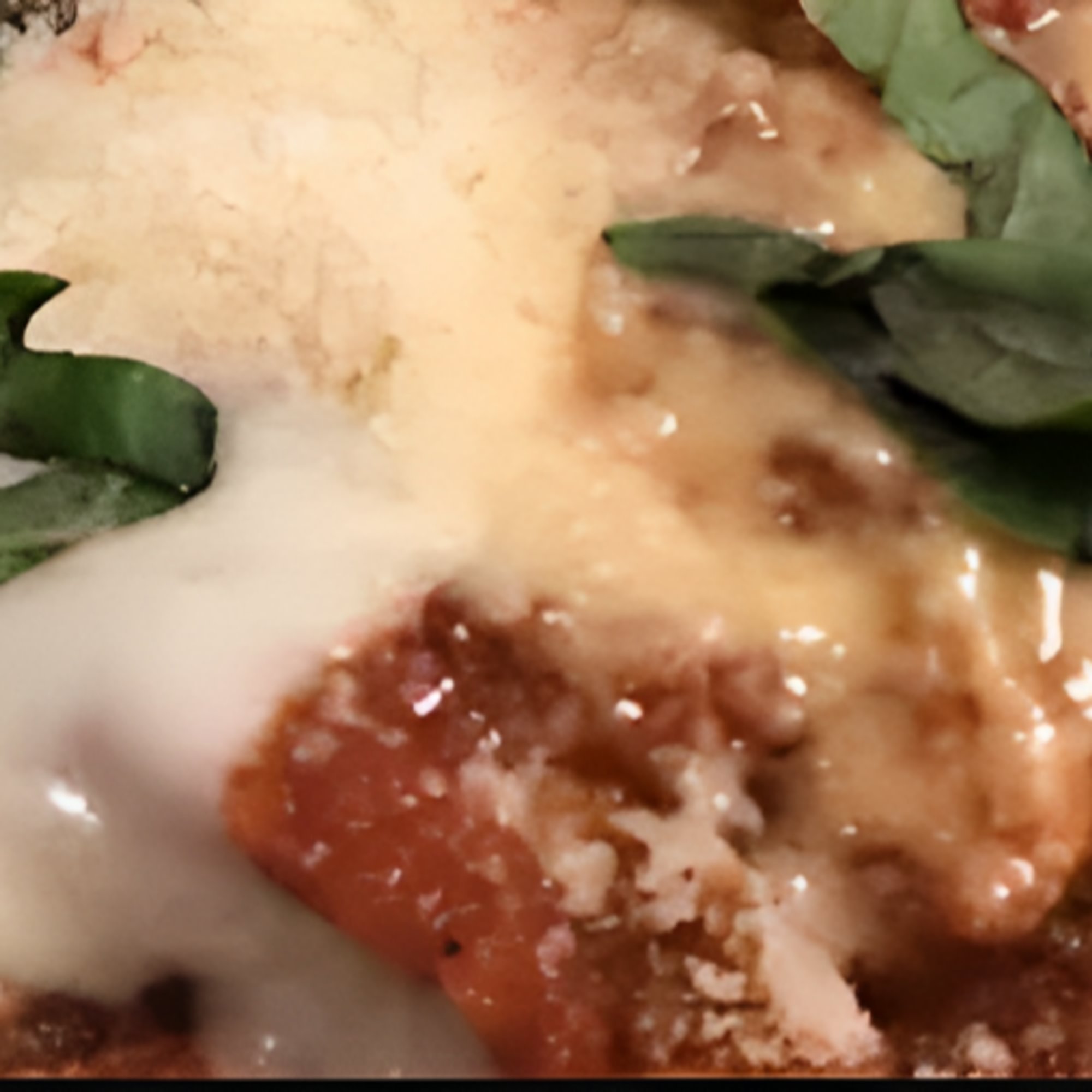Pollo Parmigiana Entree