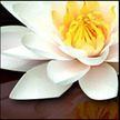 Santoro Chiropractic Health
