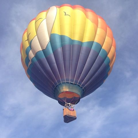 What's Up Ballooning LLC