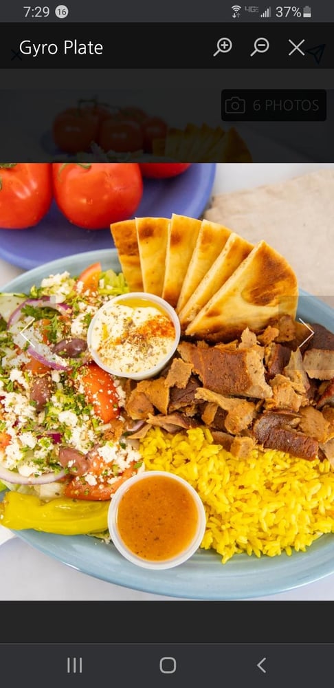 Gyro Plate