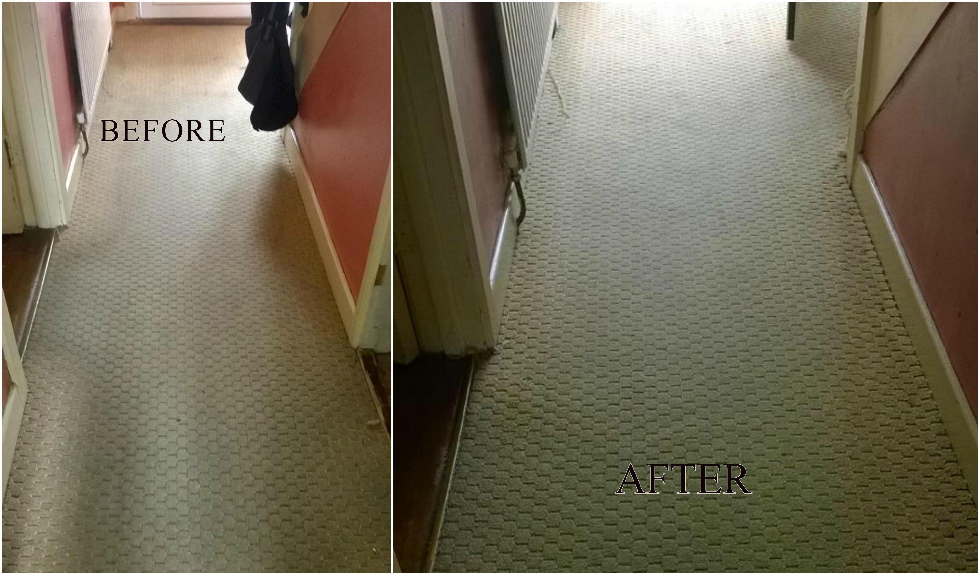 LS Property Management, Carpet Cleaning, Dublin