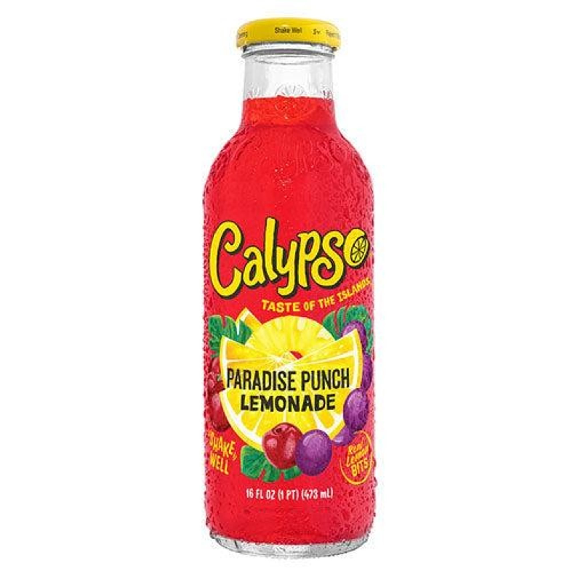 Calypso Paradise Punch Lemonade, 16 fl oz