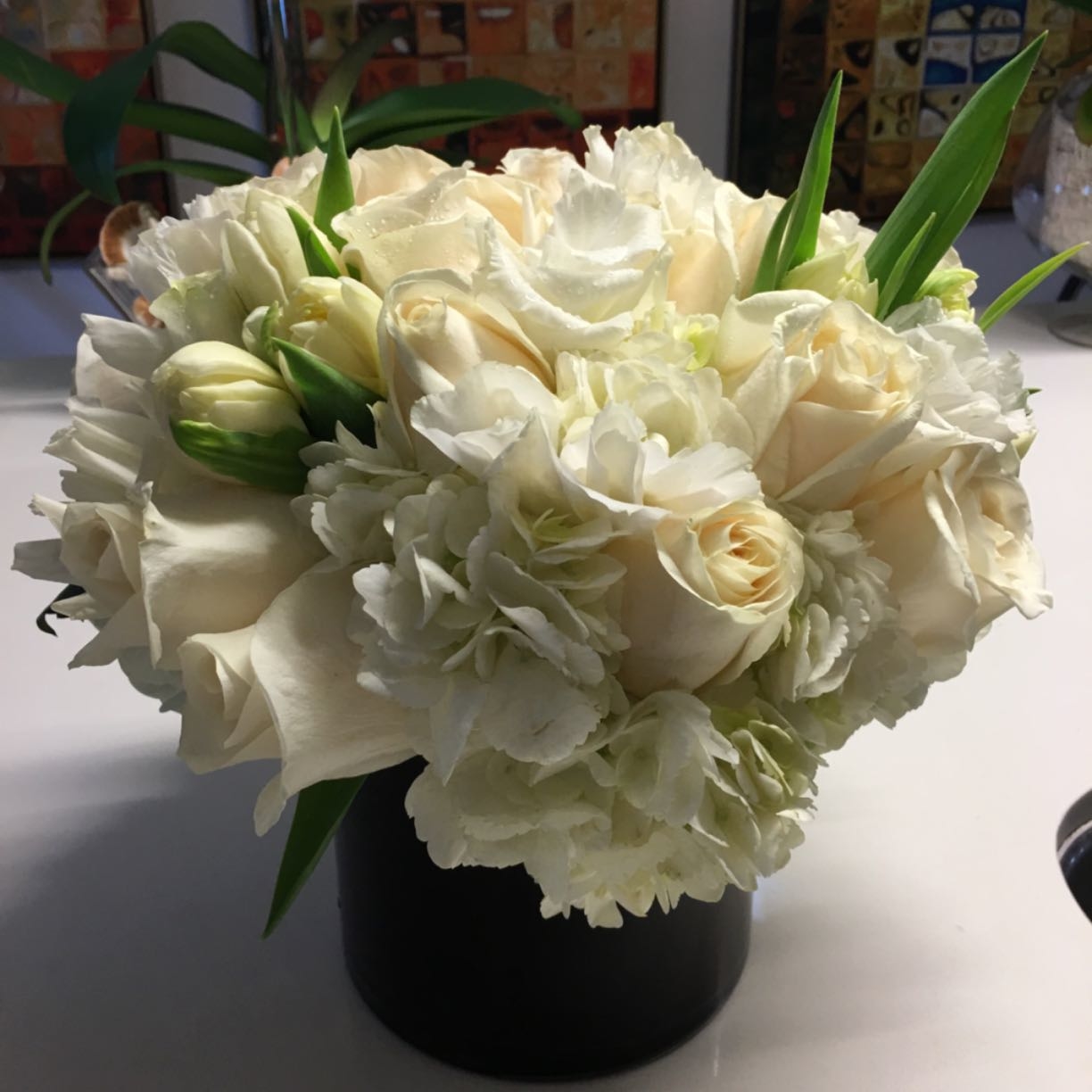 Orchid Republic Image