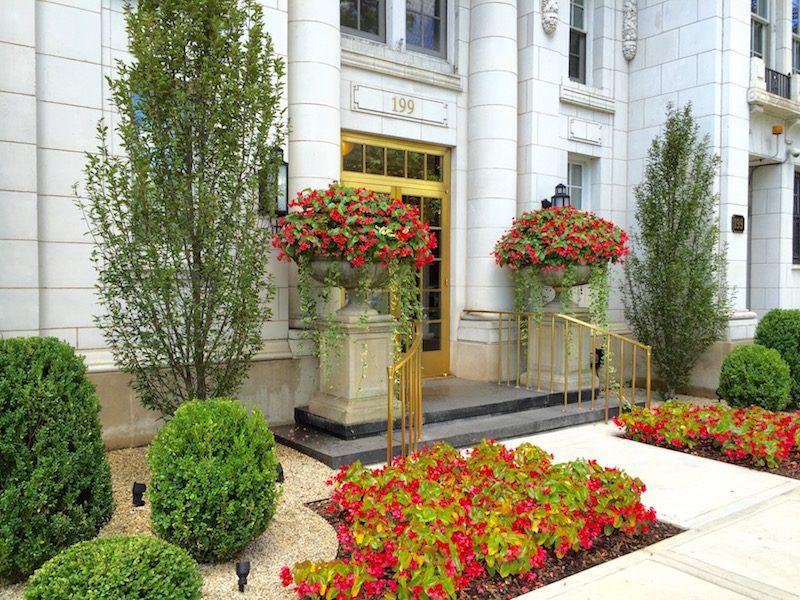 Botanical Concepts Chicago Image