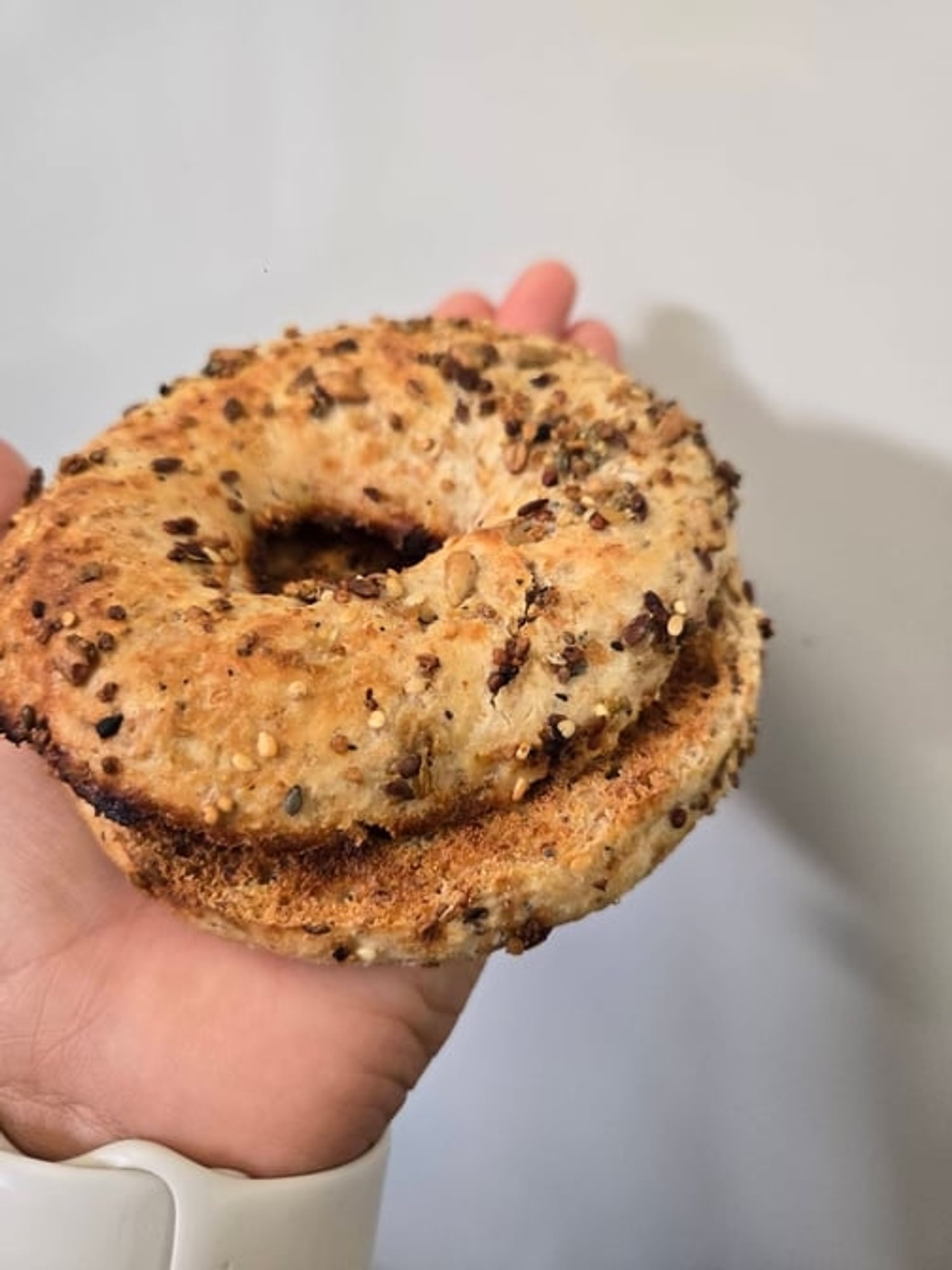 Sprouted Grain Everything Bagel