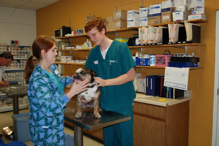 VCA Triangle Tower Animal Hospital Photo