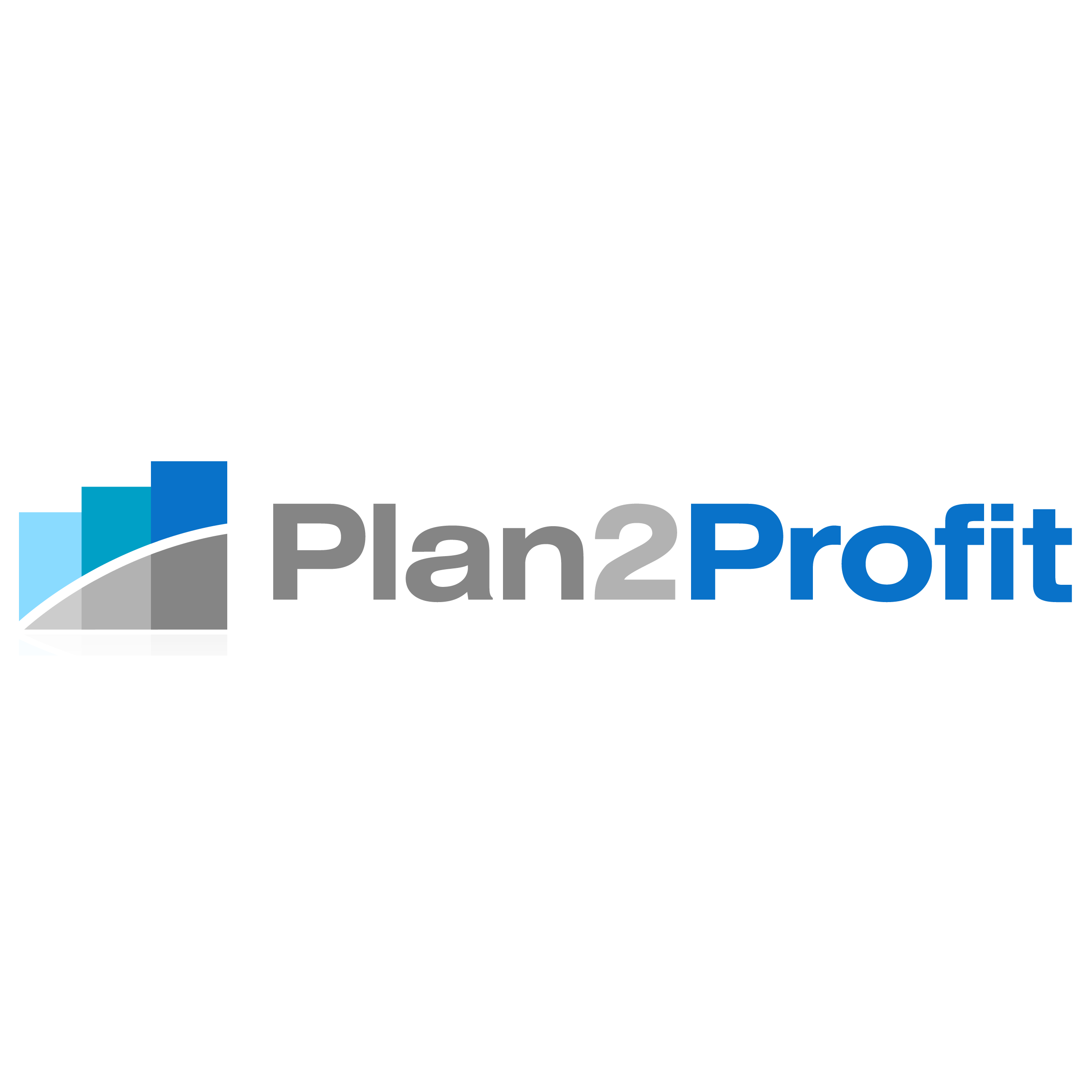 Plan2Profit Marketing Logo