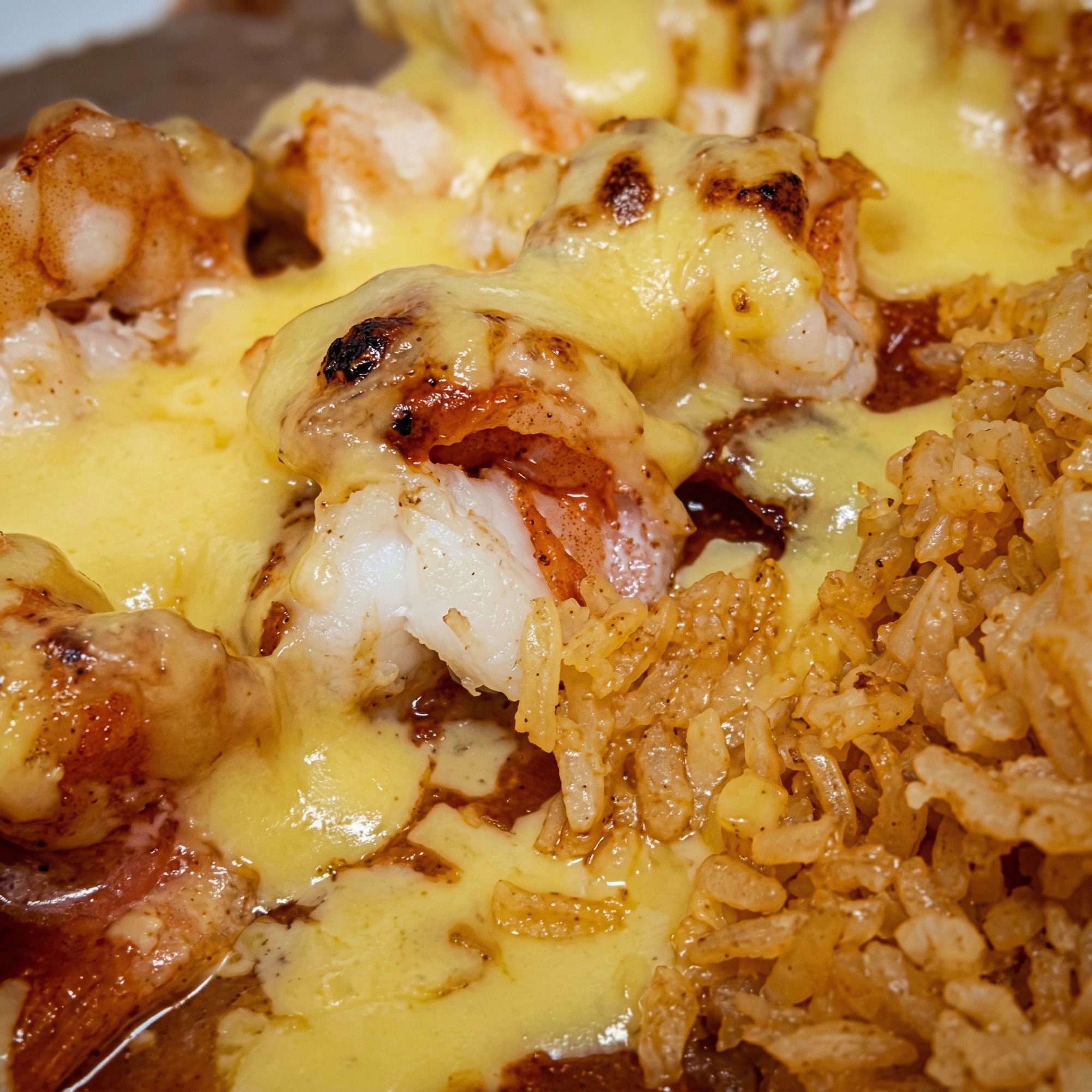 Shrimp Enchiladas
