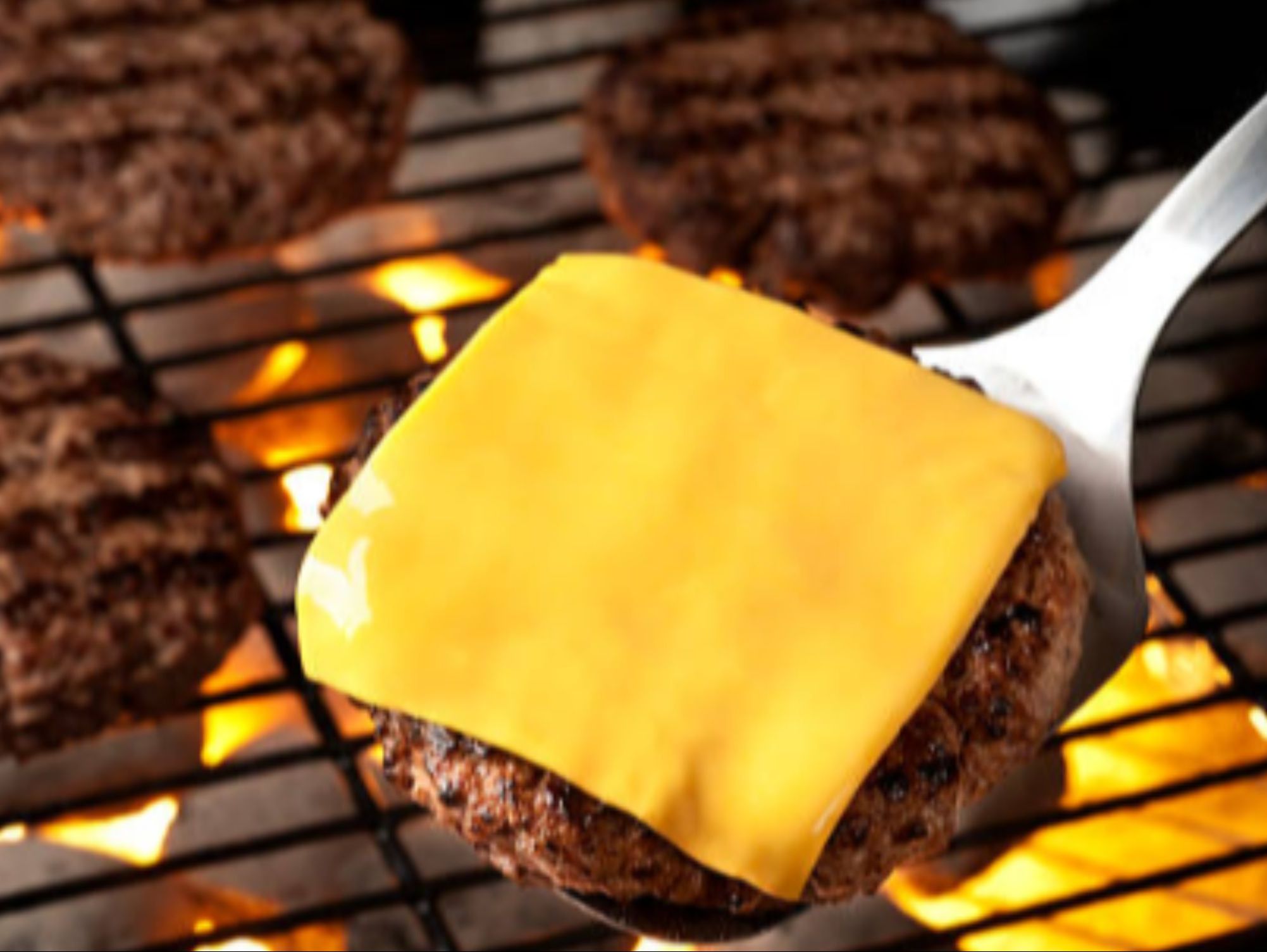 Cheese Burger W/Fries Combo