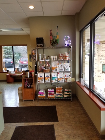 Images Cat Care PC of Rochester Hills