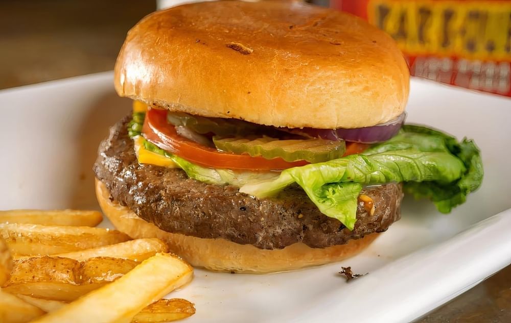 Hamburger Combo