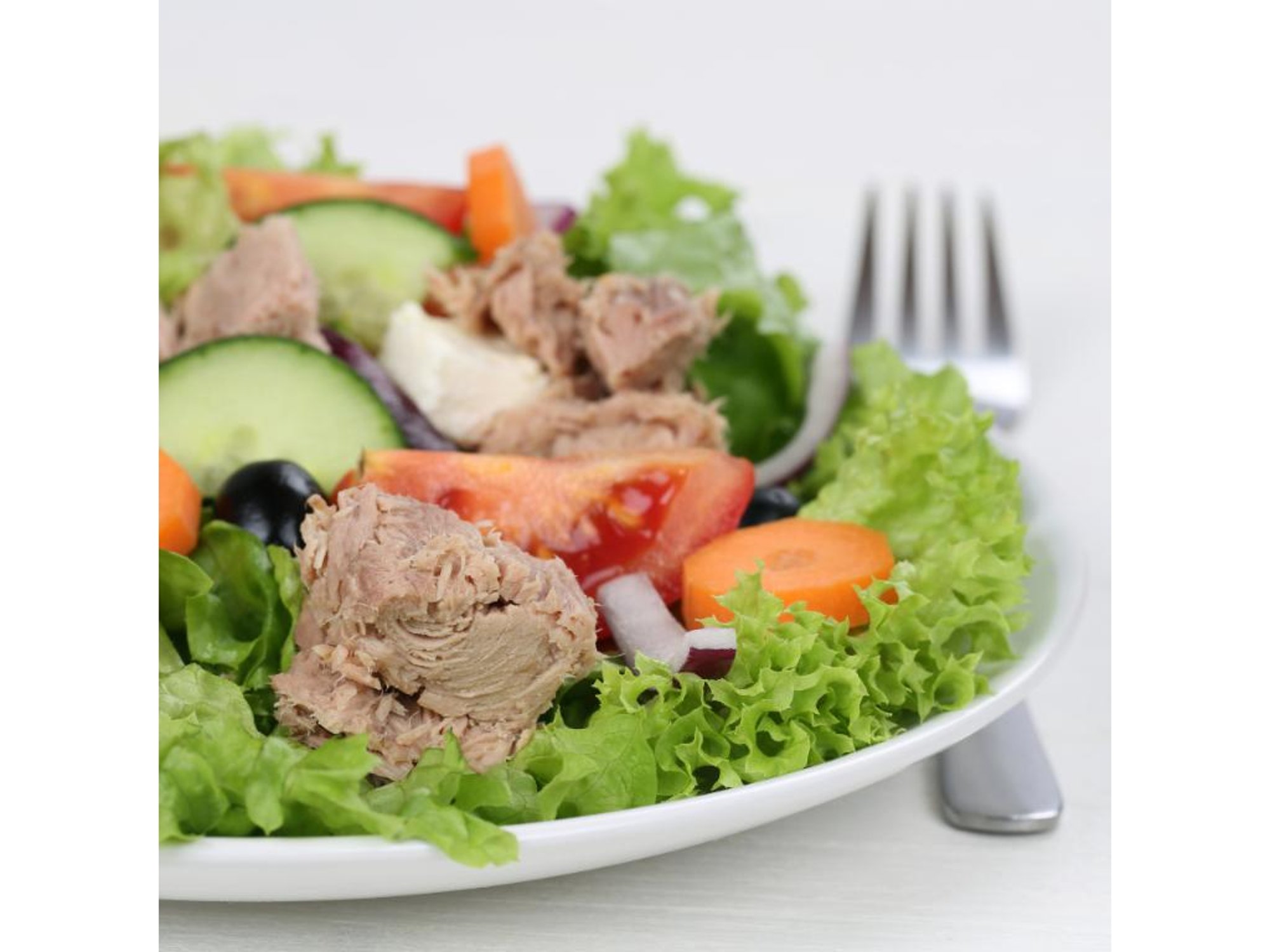 Tuna Salad and Fruit