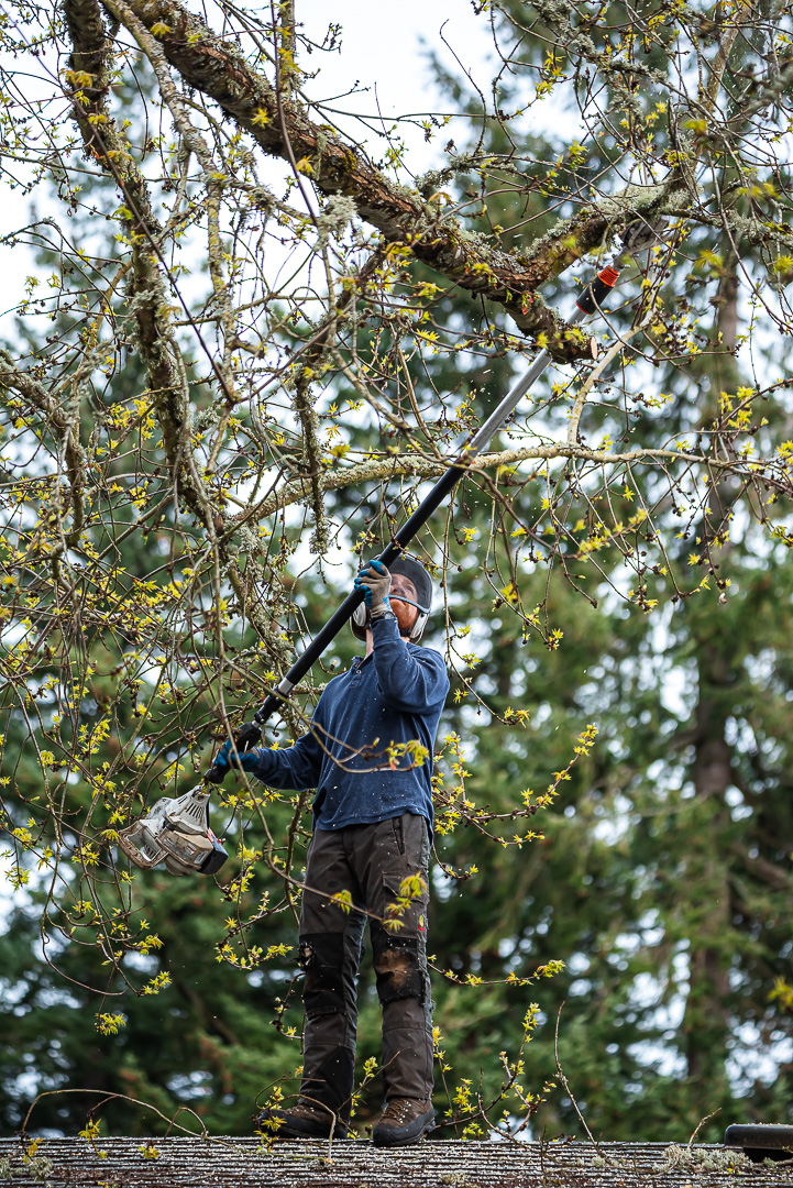 Branching Out Tree Care, LLC Image