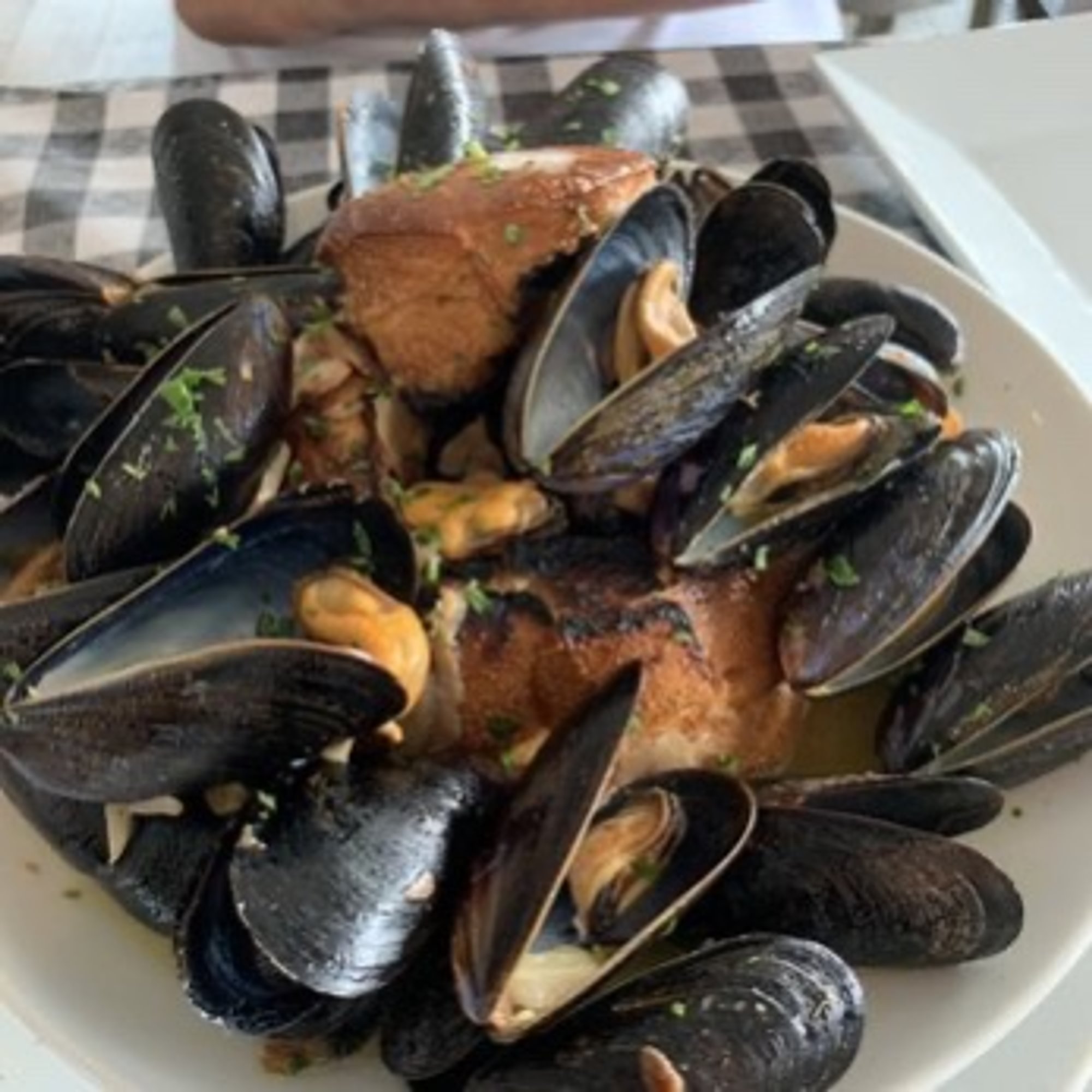 Mussels