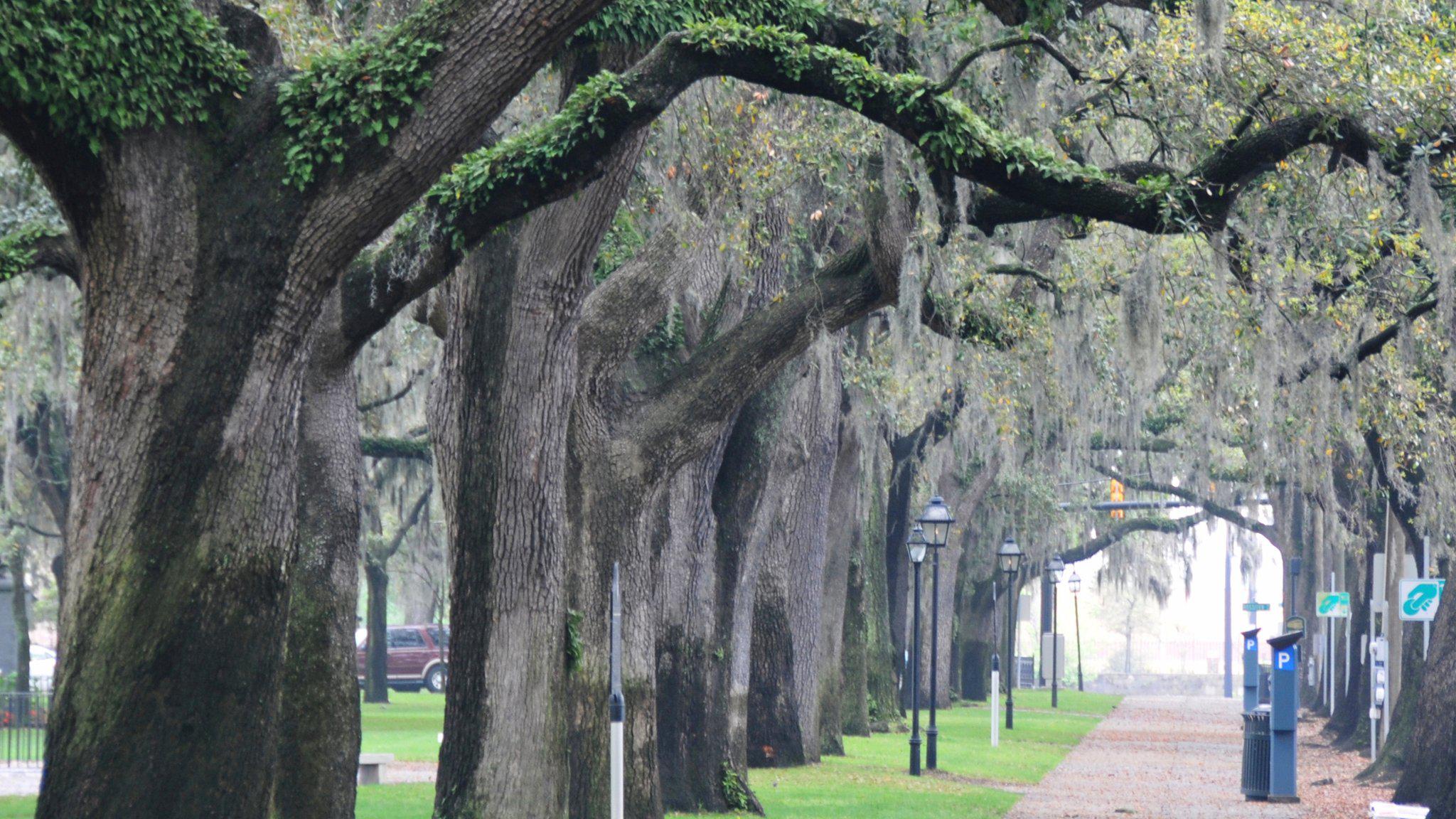 Hotel Indigo Savannah Historic District Photo