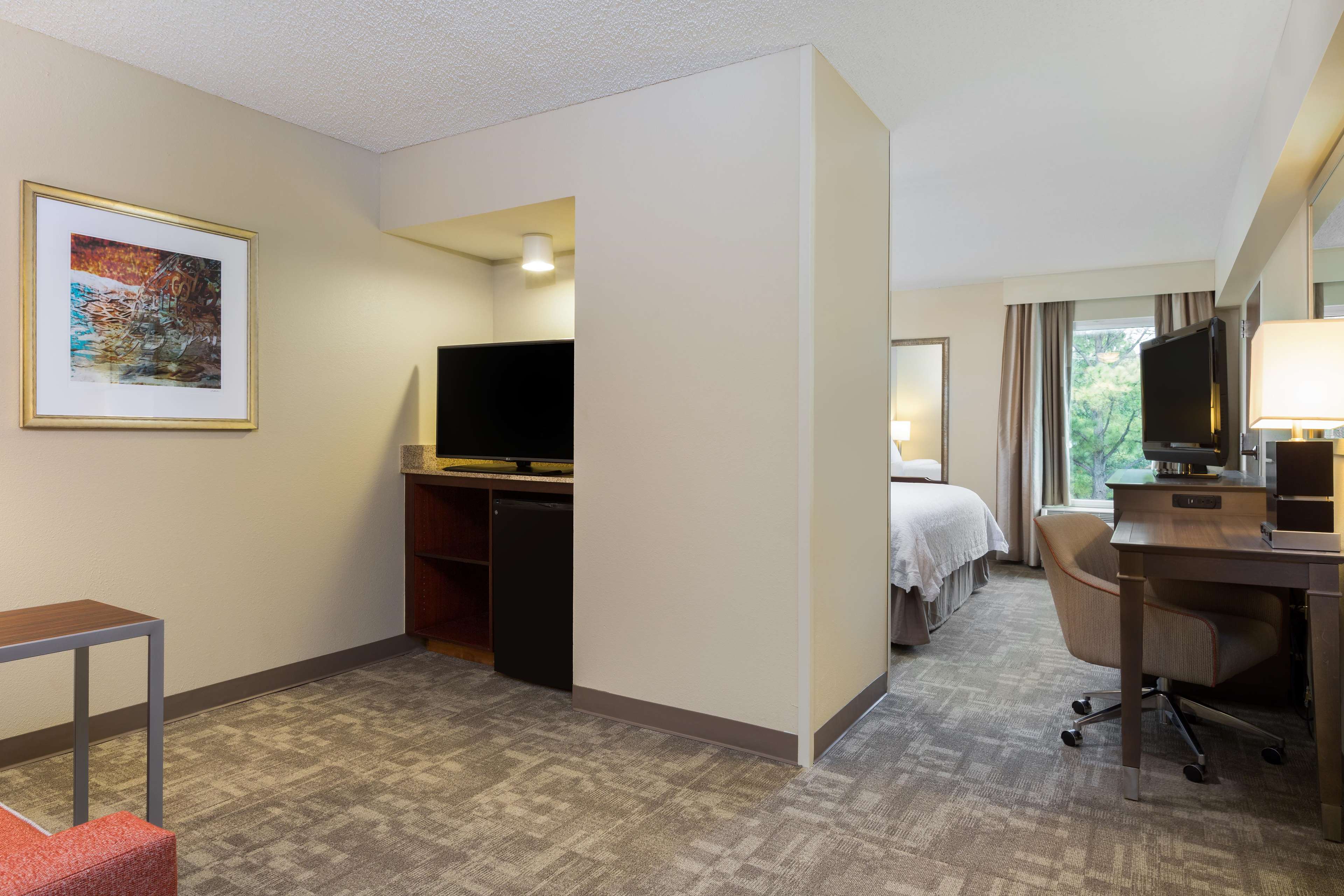 Hampton Inn Houston-Near The Galleria Photo