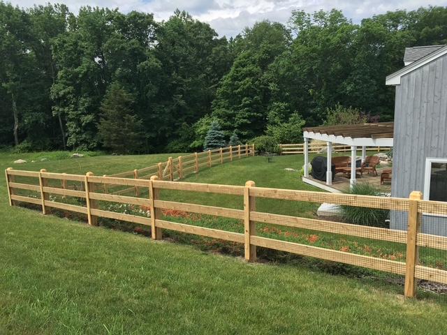 Roots Landscaping