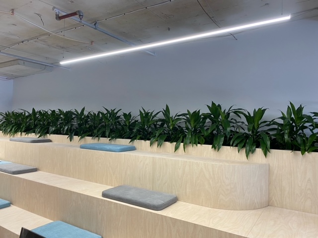 Fotos de Greenfingers Indoor Plant Hire
