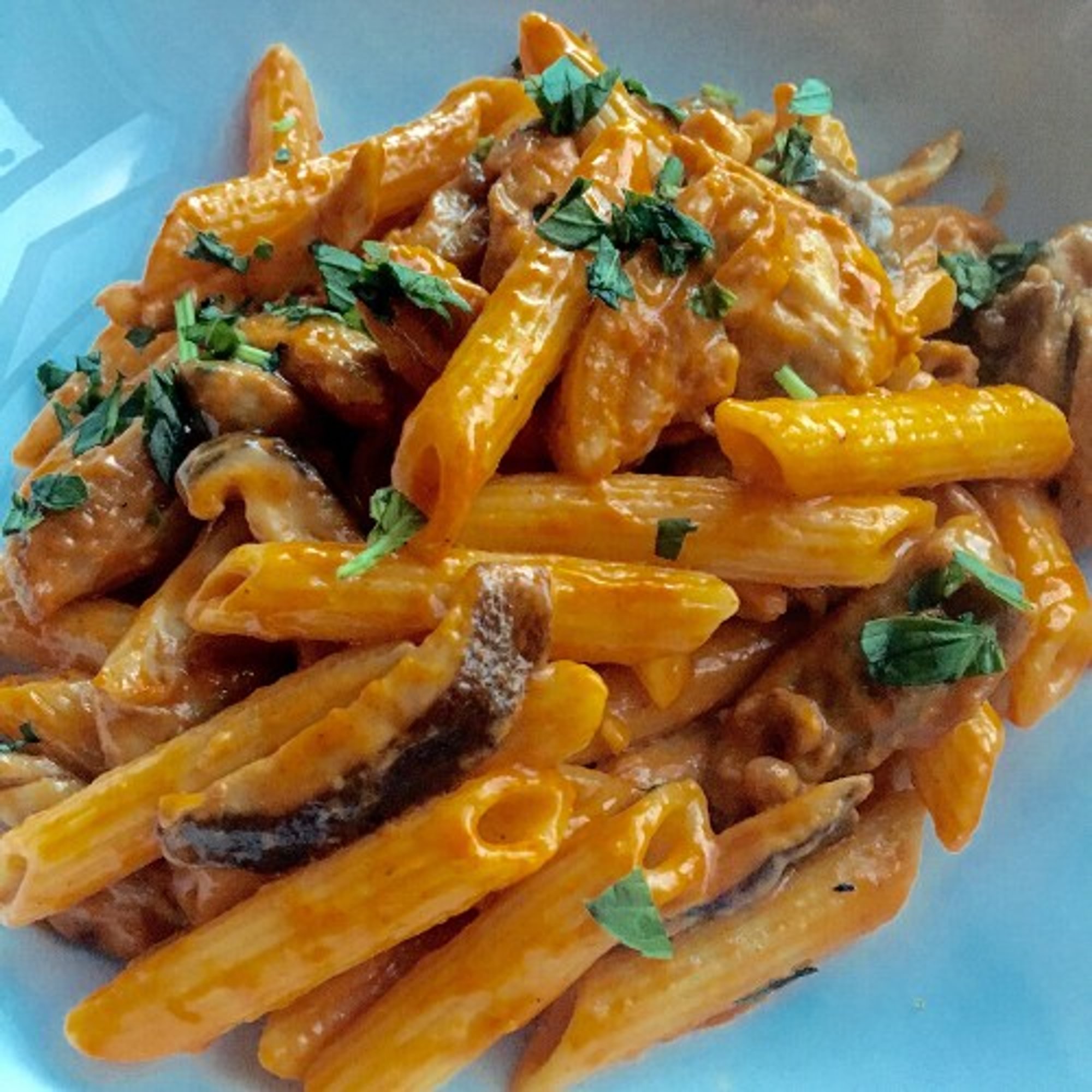 Rigatoni Pasta Chicken