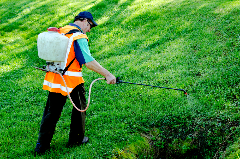 Lawn Fertilizing