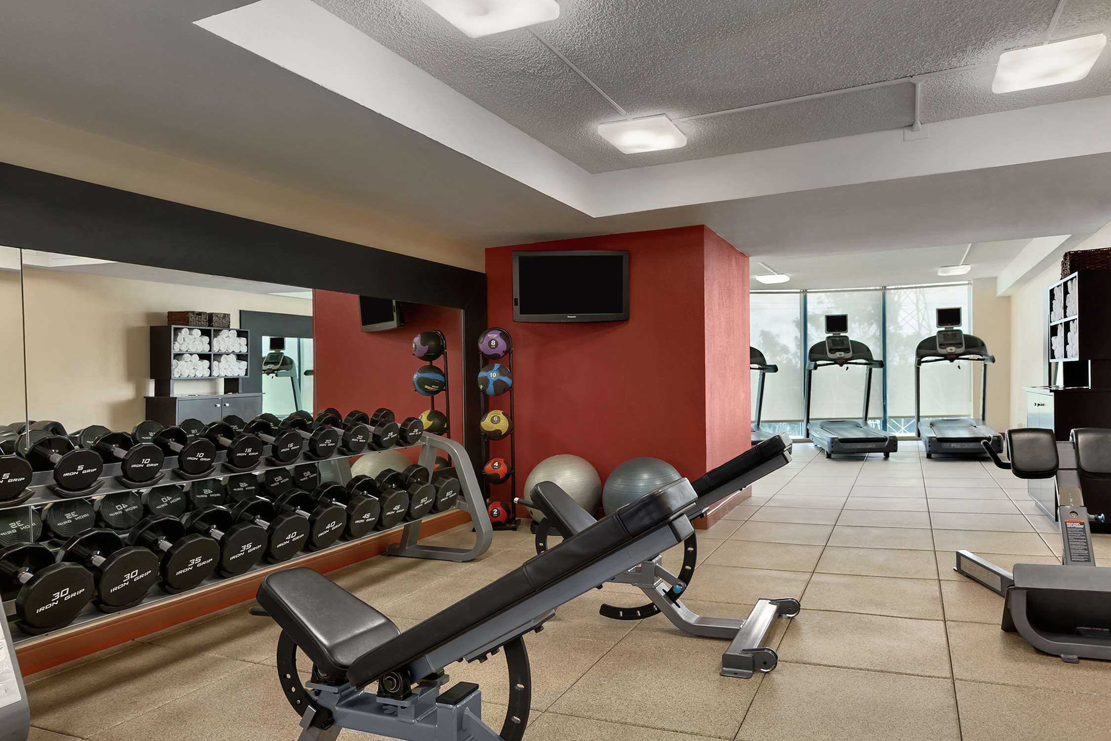 Health club  fitness center  gym