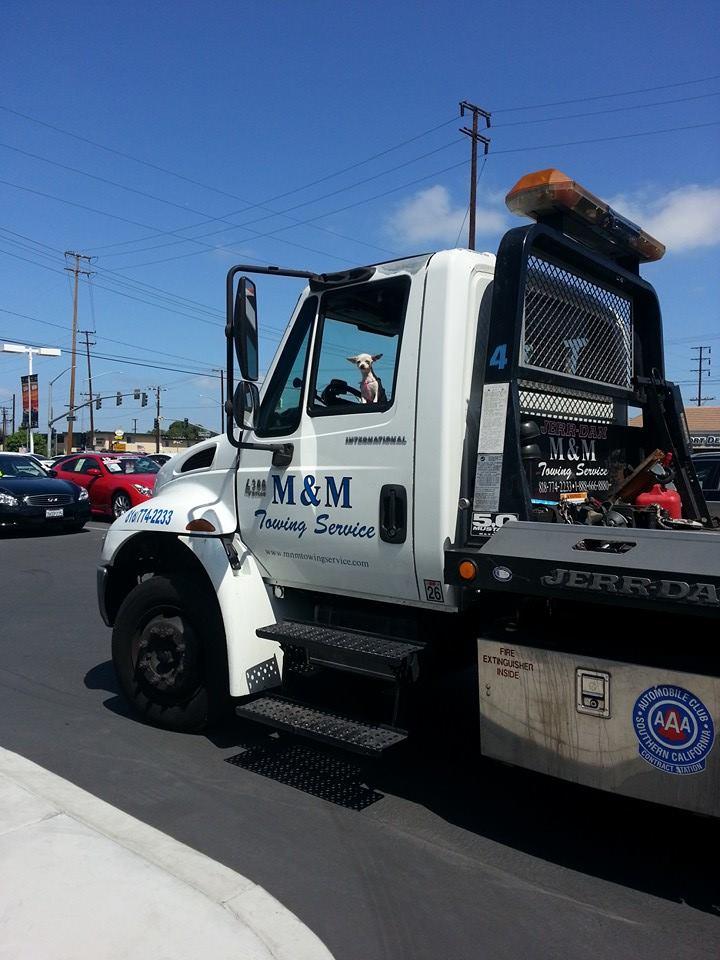M&M Towing Service Photo
