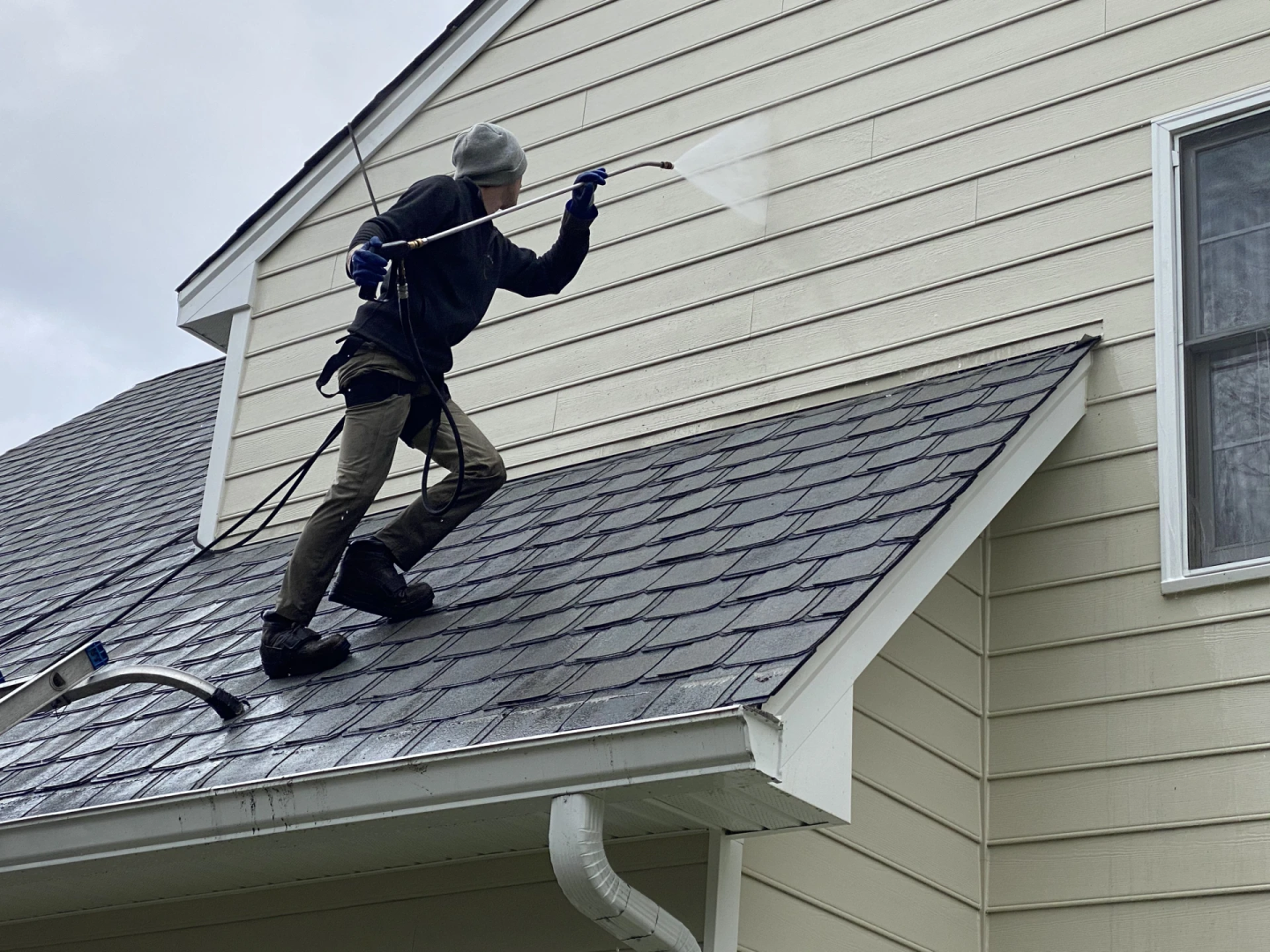 Evergreen Cleaning Image